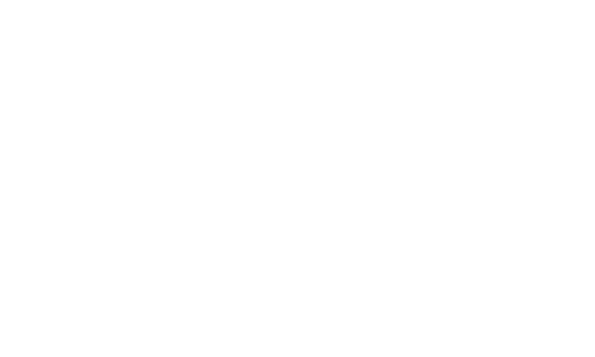 Logo 9
